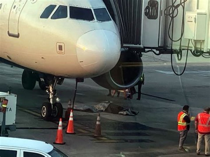 George Touhakis Obituary, Saint John, NB Esteemed Resident Has Reportedly Died By Suicide